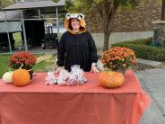 Trick or Treating Big Glades 2023