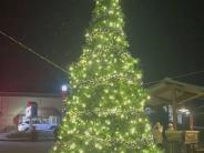 The Tree is beautiful!