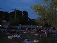 crowd of people watching an outdoor movie