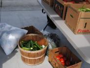 farmers market