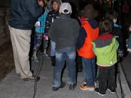 people at Christmas Tree Lighting