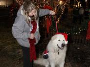people at Christmas Tree Lighting
