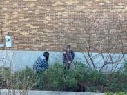 people cleaning up garden