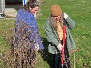 people cleaning up garden