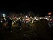 2022 Christmas Tree Lighting
